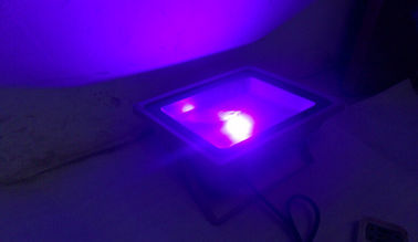 स्टेज के लिए यूवी फ़्लडलाइट 10W / 20W / 30W / 40W / 50W आउटडोर एलईडी फ्लड लाइट्स